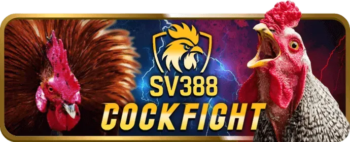 Đá gà online tại MCW77